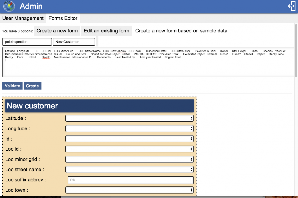 Form Editor: Creating a form based on input information.